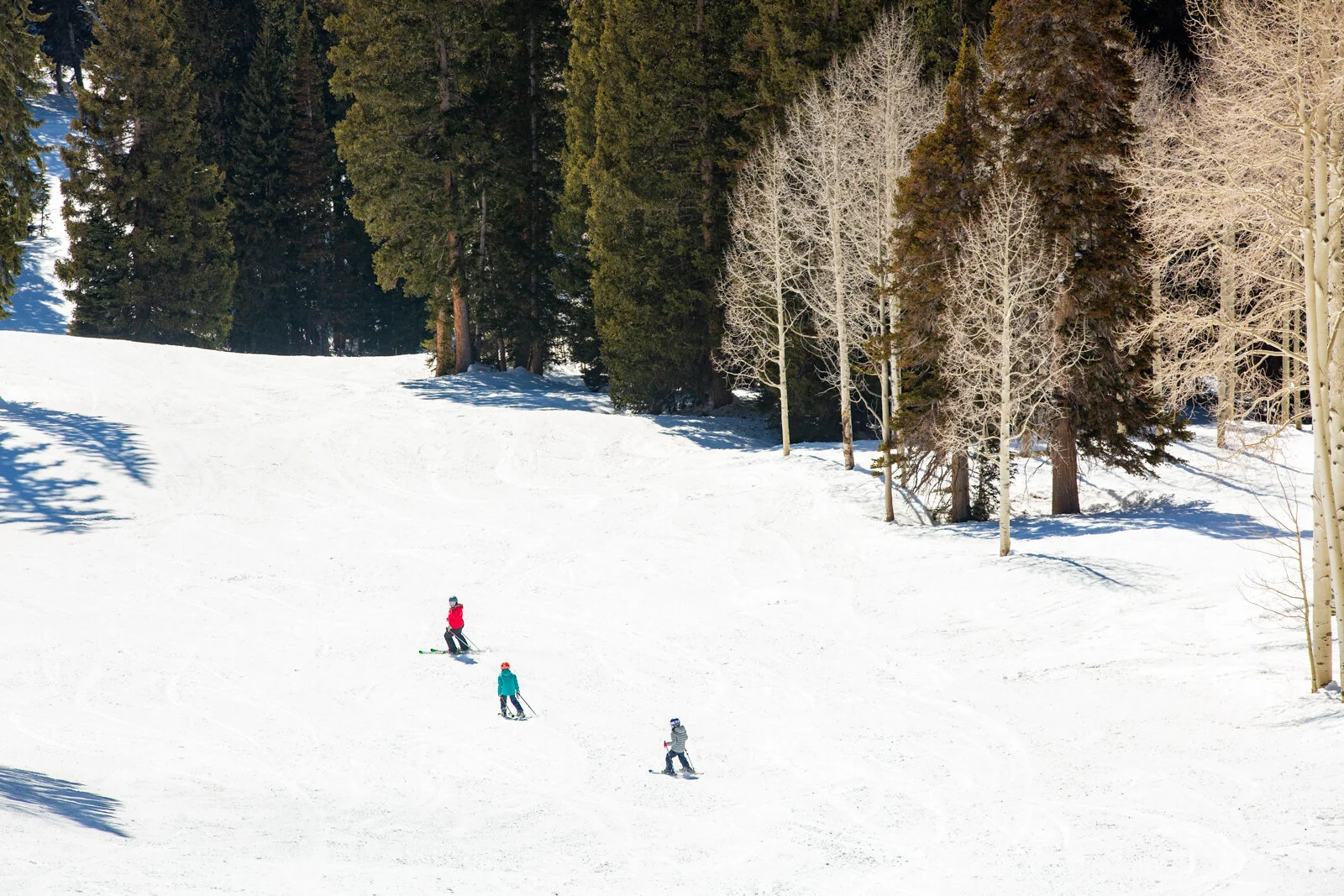 2021_SkiUtah_SkiSchool_SeanRyan-7030.jpg