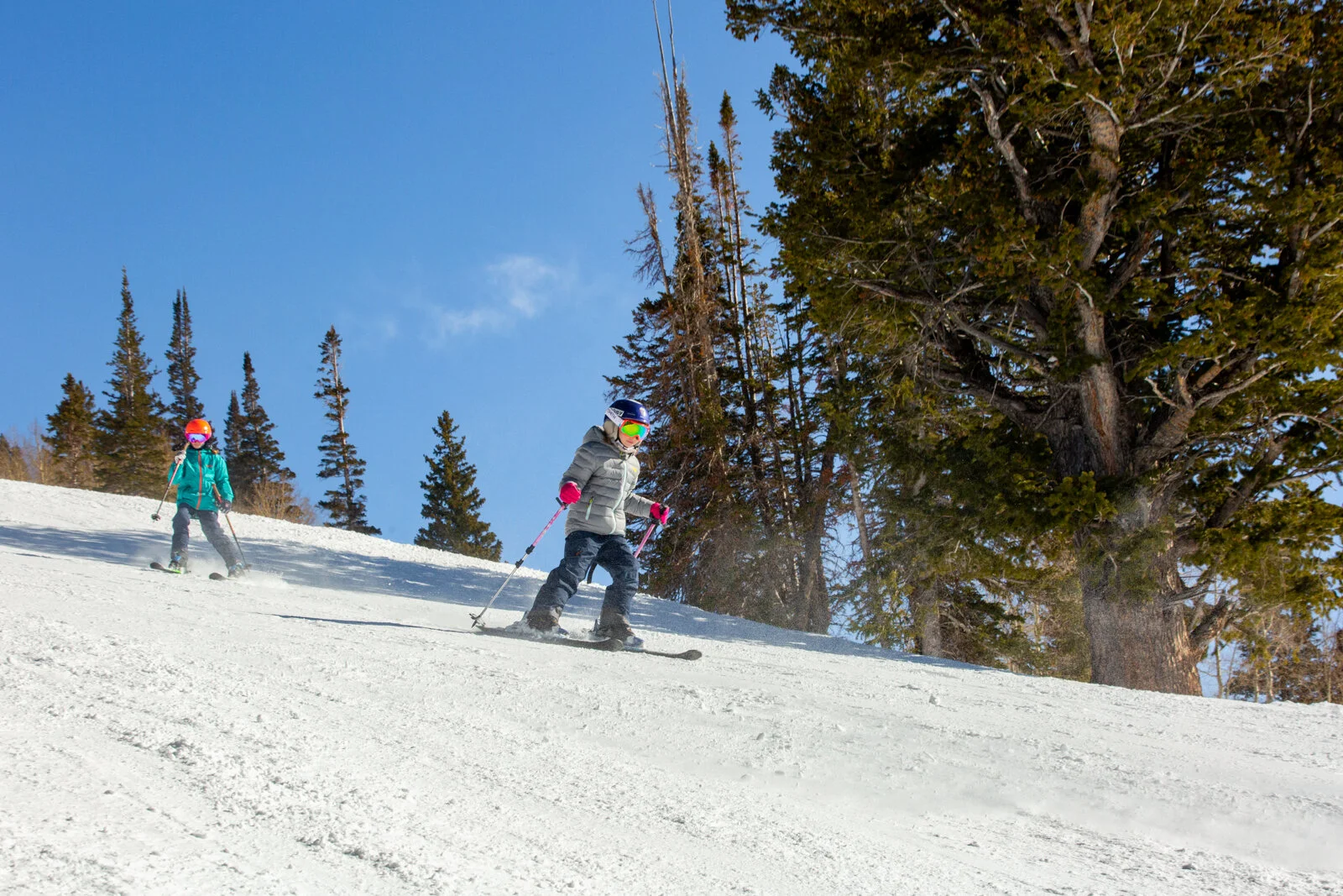 2021_SkiUtah_SkiSchool_SeanRyan-7265.jpg