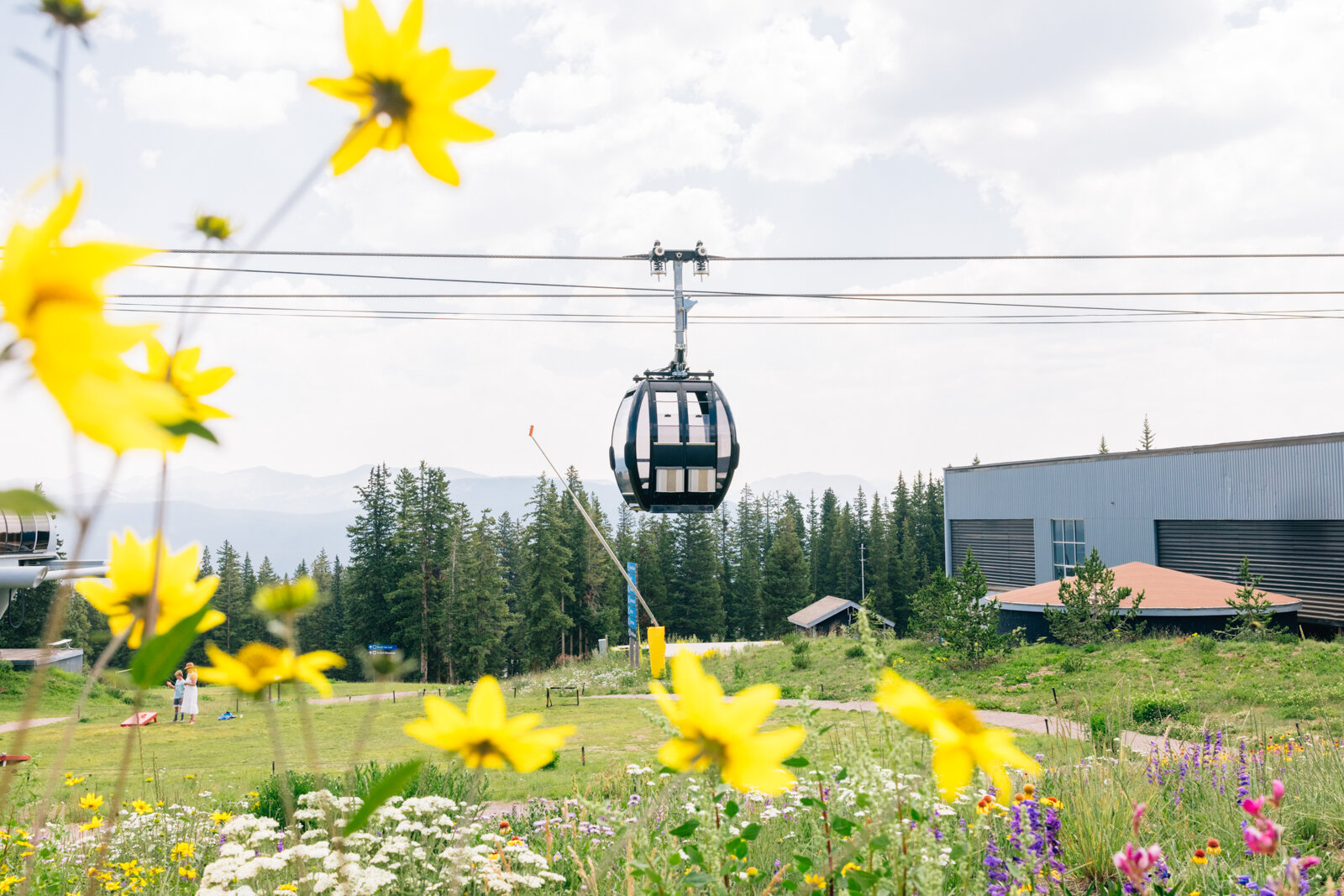 2021_AspenExperience_SeanRyan-9687.jpg