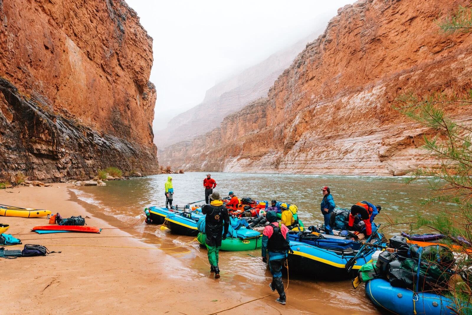 2021_GrandCanyon_SeanRyan-0229.jpg