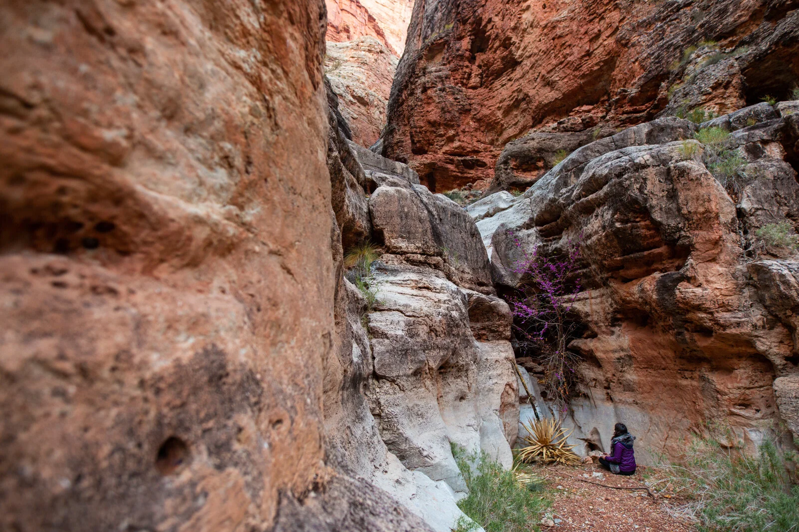 2021_GrandCanyon_SeanRyan-0525.jpg