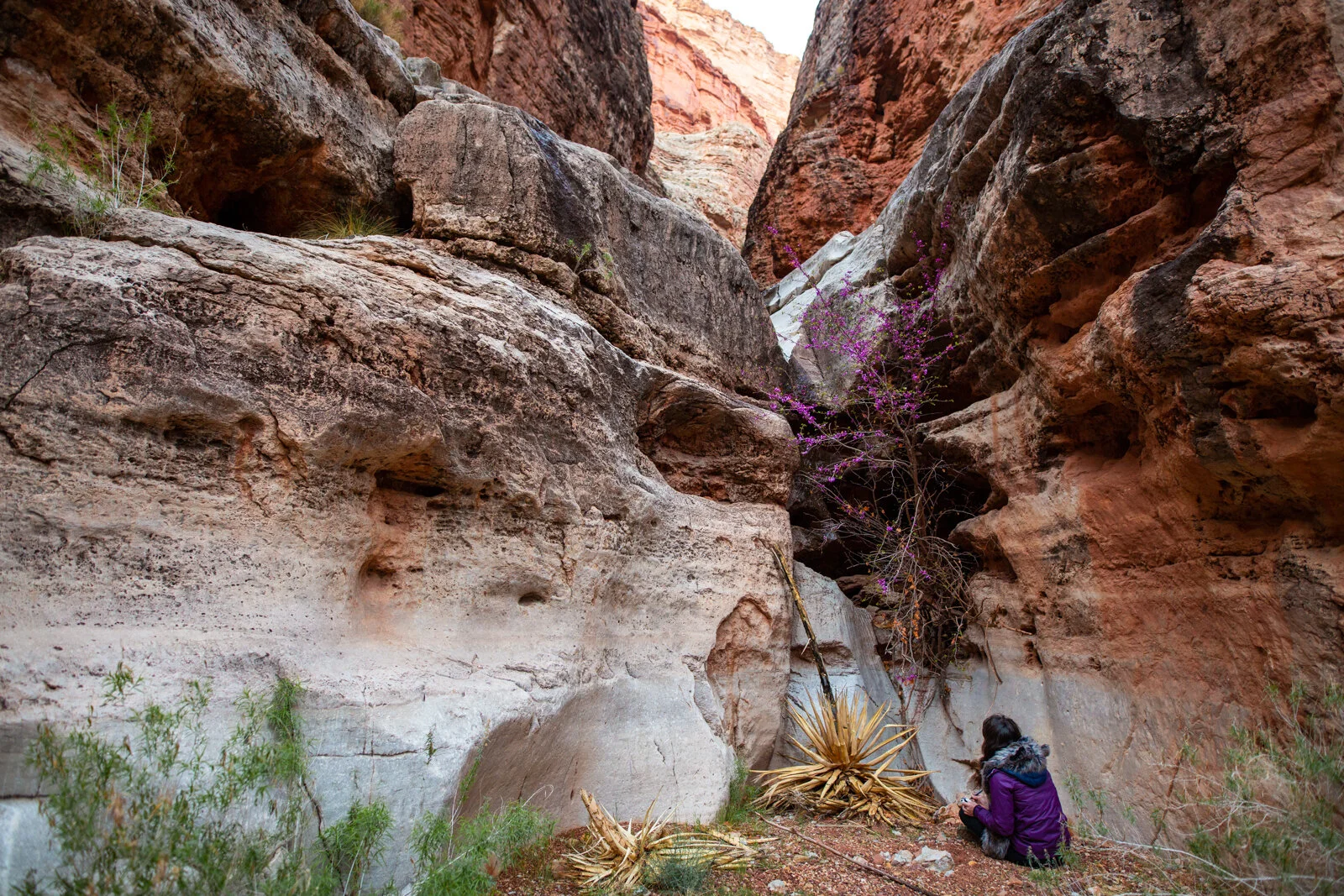 2021_GrandCanyon_SeanRyan-0514.jpg