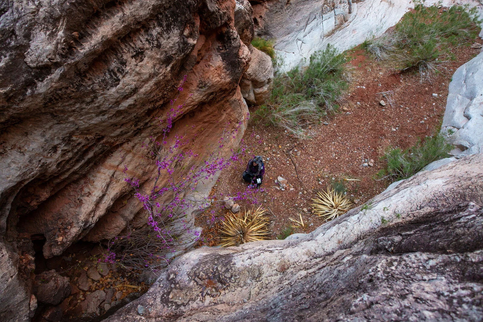 2021_GrandCanyon_SeanRyan-0532.jpg