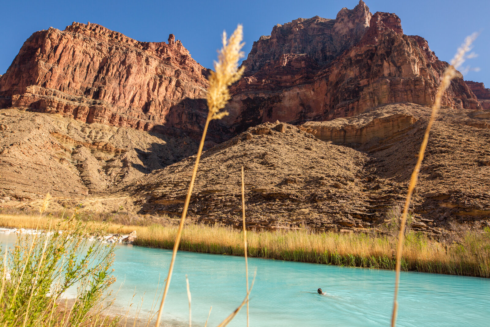 2021_GrandCanyon_SeanRyan-1079.jpg