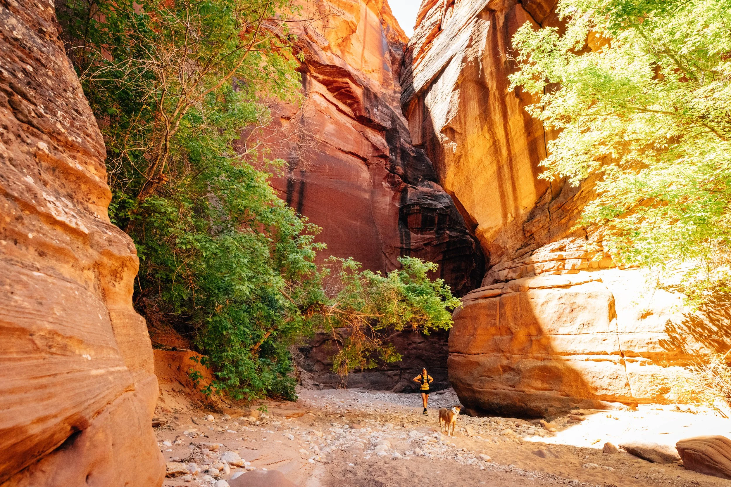 22_BuckskinGulch_SeanRyan-0885.jpg