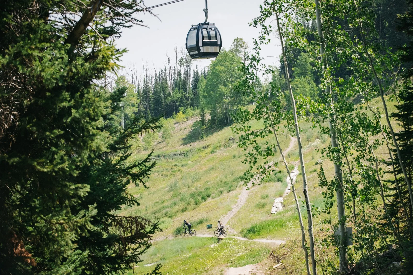 2021_AspenExperience_SeanRyan-7472.jpg
