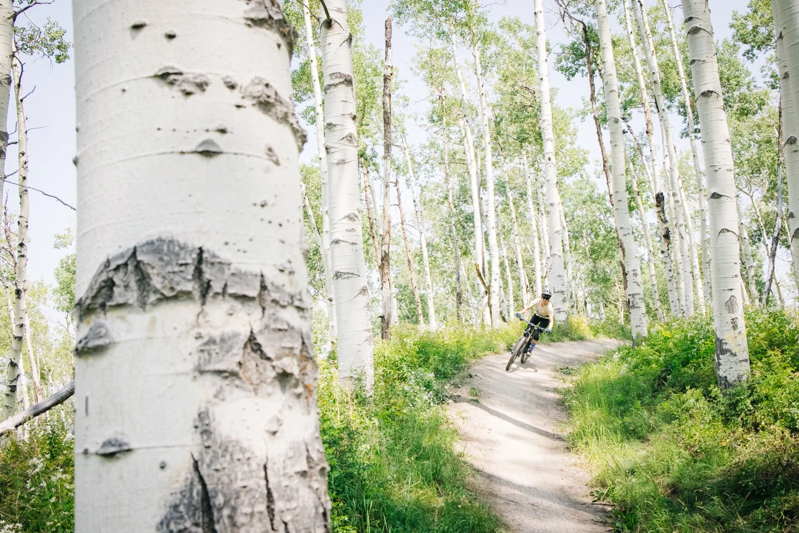 2021_AspenExperience_SeanRyan-7535.jpg