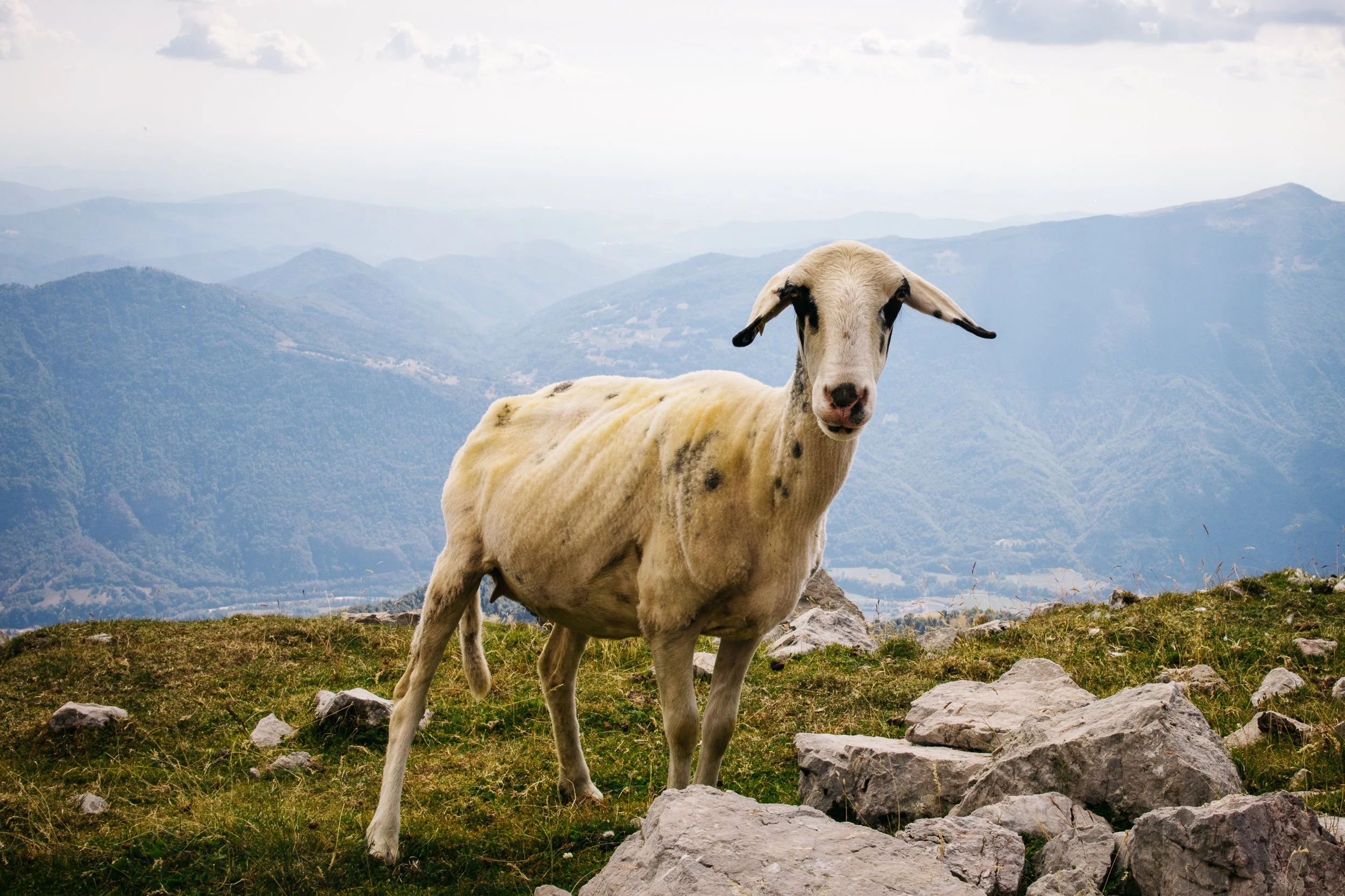 22_EuroTrip_SeanRyan-3922.jpg
