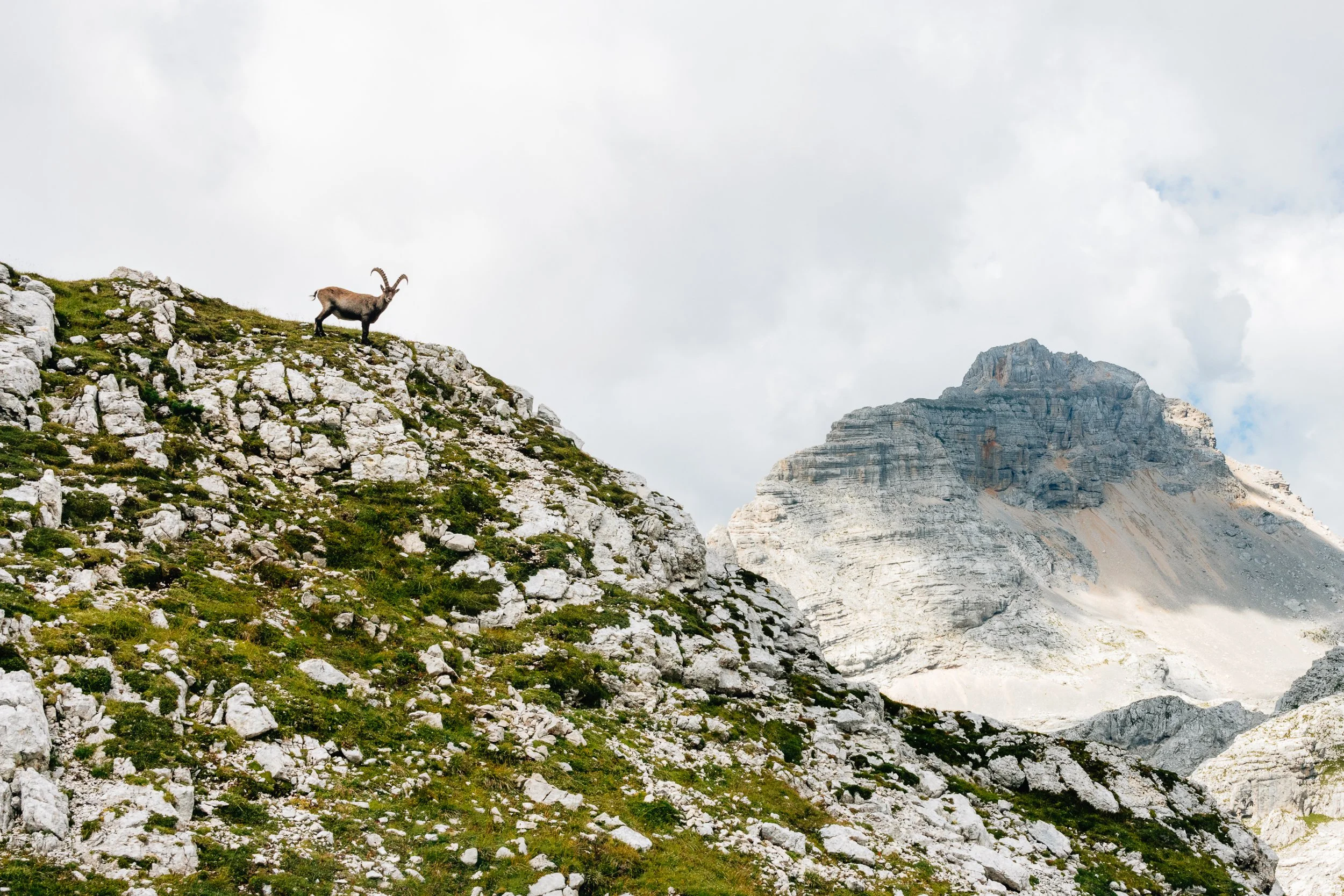 22_EuroTrip_SeanRyan-5134.jpg
