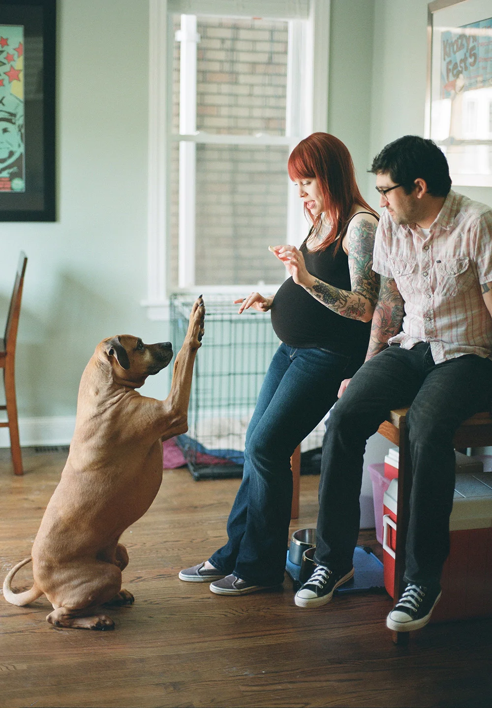 A pregnant woman with tattoos giving a high five to a sitting dog while a man beside her looks on in a cozy home setting.