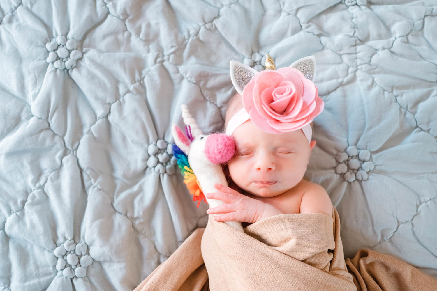 newborn-posed-with-unicorn-cute-chicago--2.jpg