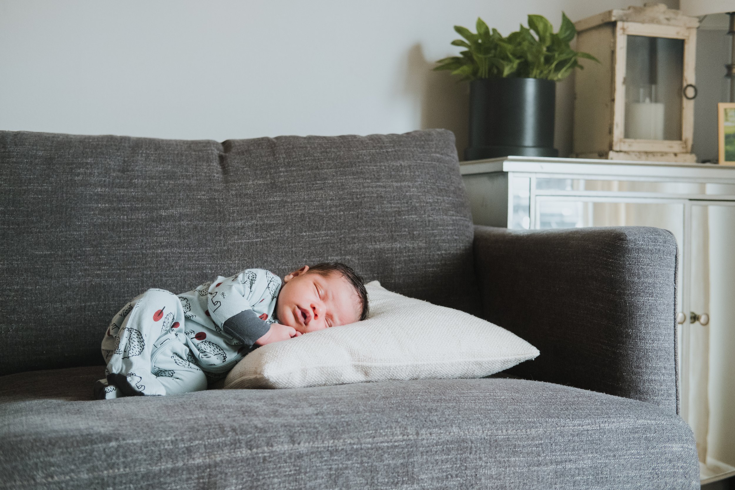 hinsdale-napervile-illinois-in-home-newborn-photography-posed-baby-photos-photographer004.jpg