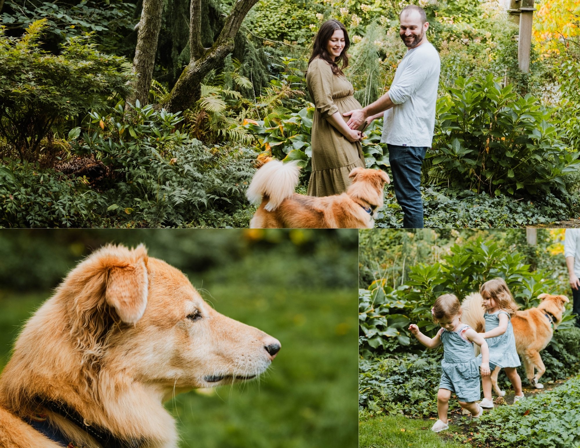 when-to-book-a-maternity-photographer-chicago-lombard-elmhurst (2).jpg
