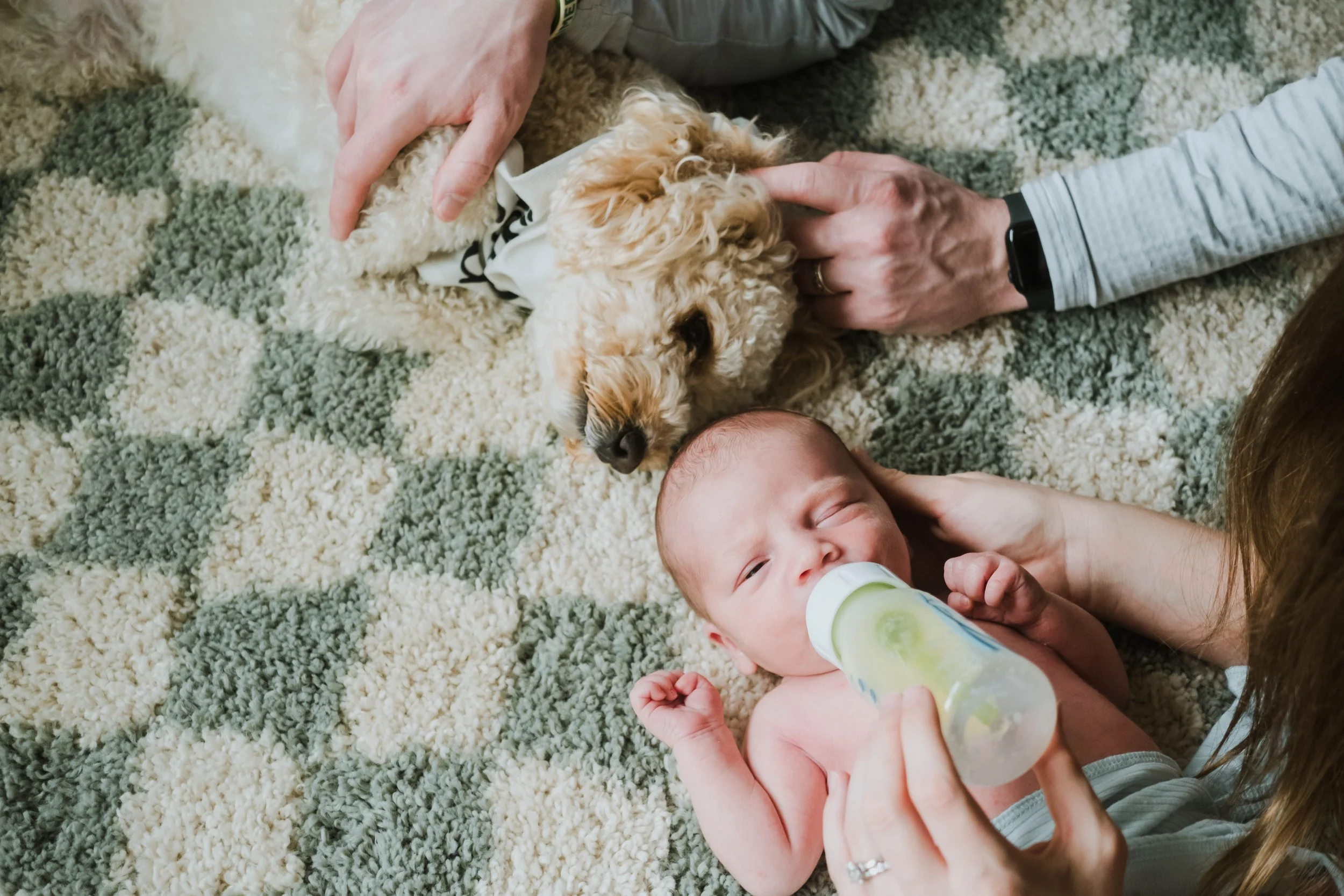 A baby with a bottle lying on a fluffy rug, a person holding a small dog, and someone else's hand is seen petting the dog.