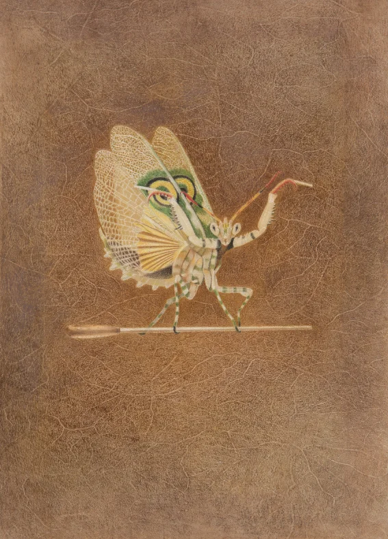 Una Mantis