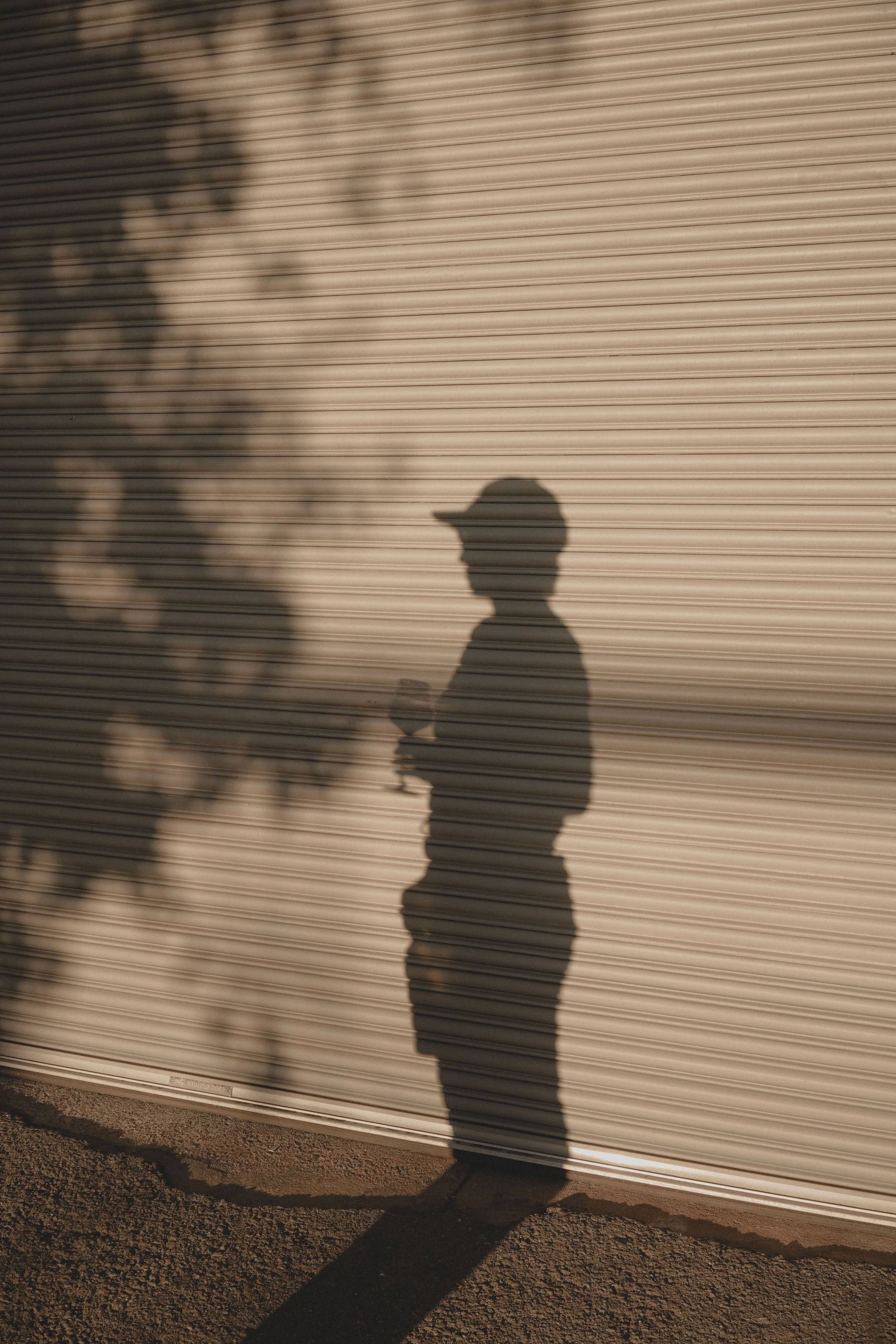  Akari in Berkley, California  