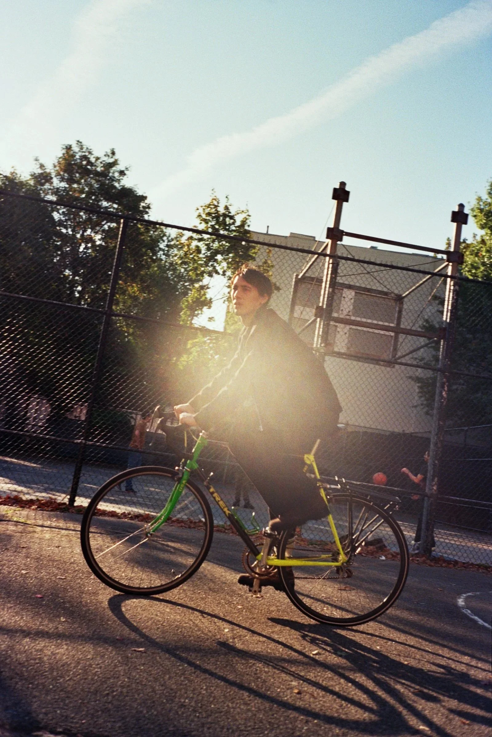  Will for Gilda, 2025 