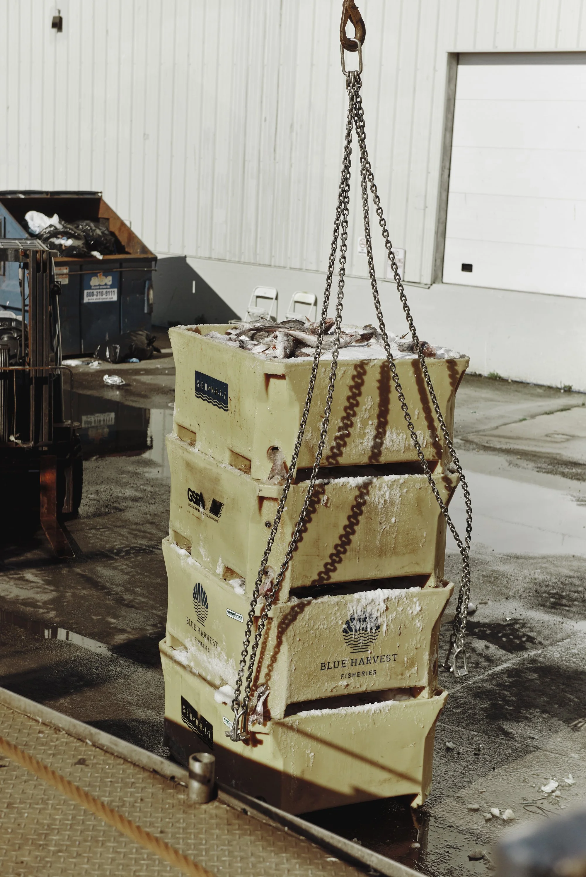 20220601 New Bedford Fishing-11_maxHeight_3000_maxWidth_3000.jpg