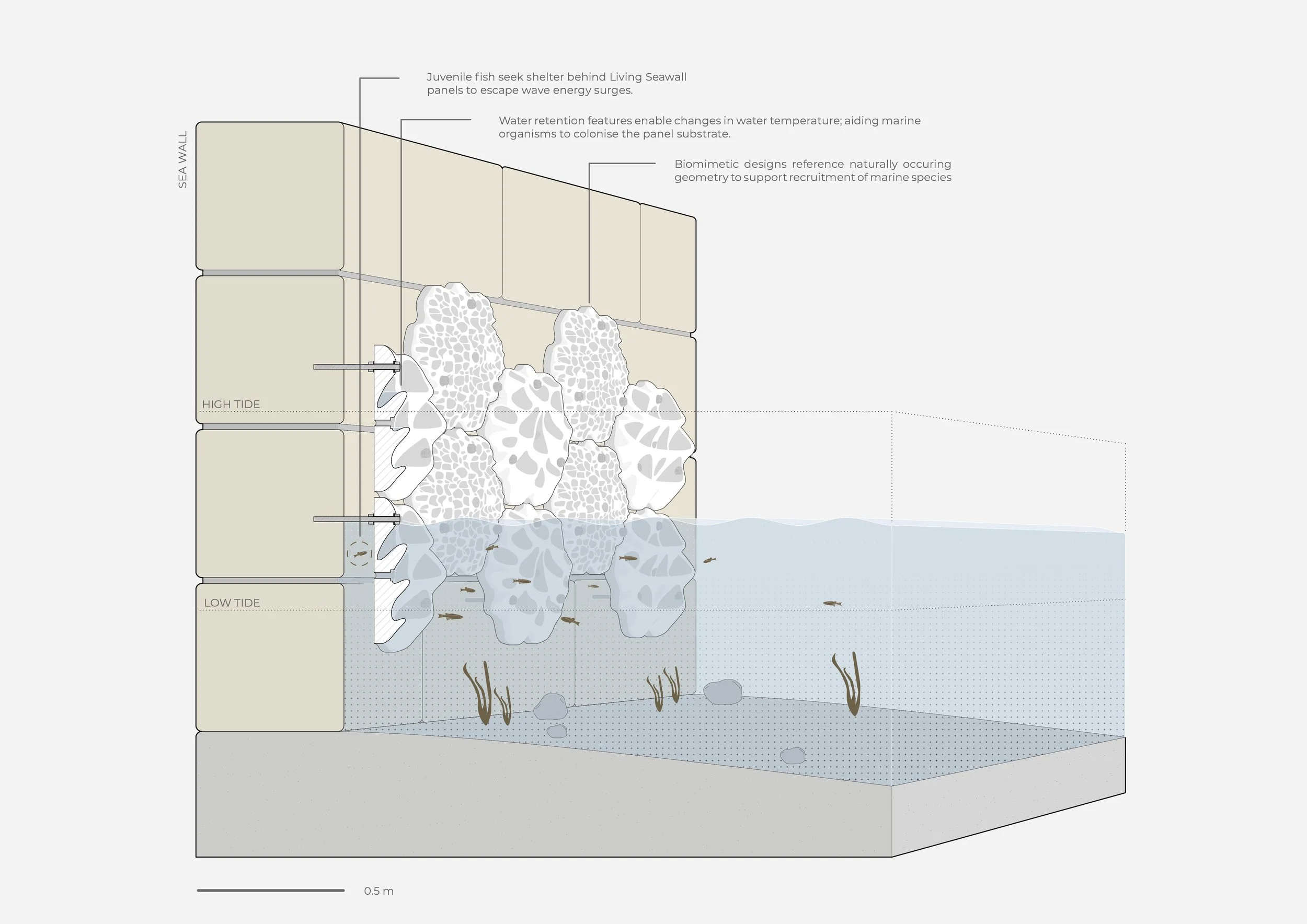 Living Seawalls REEF DESIGN LAB