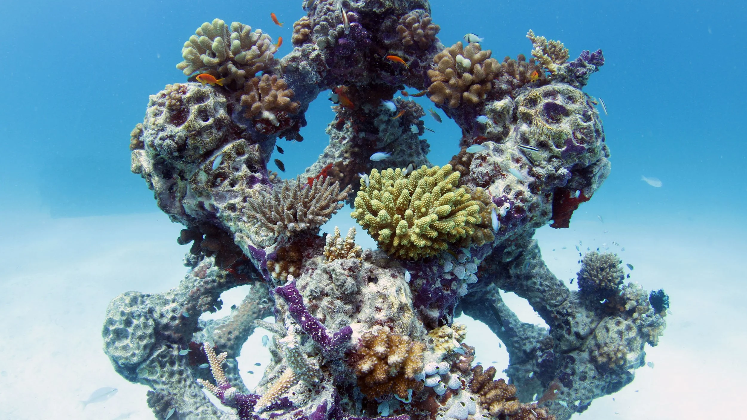 Modular Artificial Reef Structure – CWVP