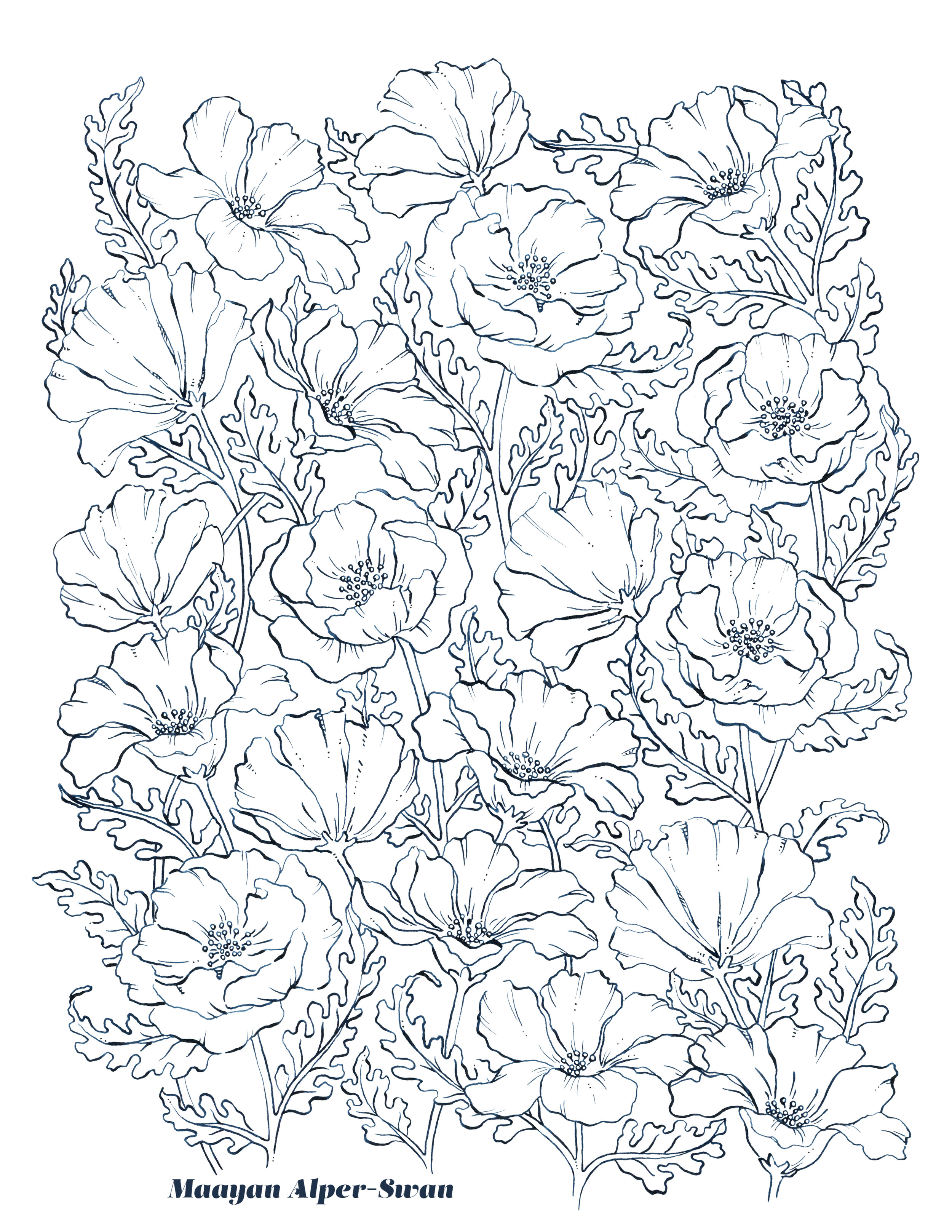 Poppies Coloring Page — MAAYAN ALPER-SWAN