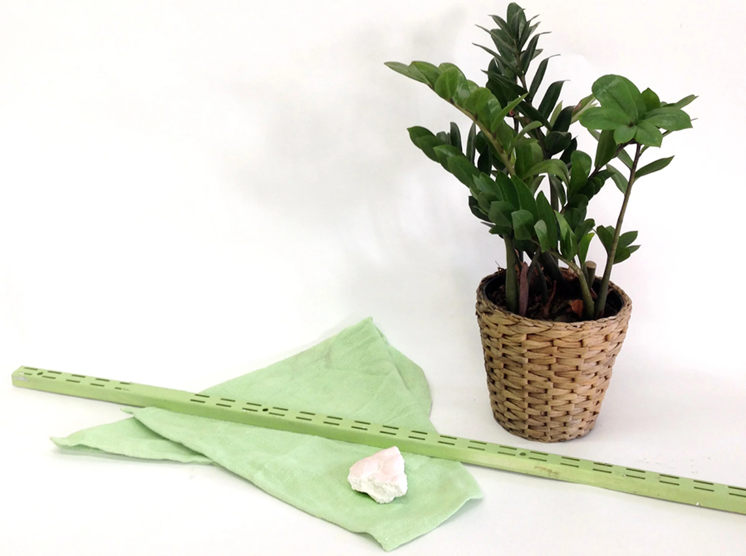 GROWTH paint shop cloth, metal, plant, plaster, acrylic 30" x 24" x 10" 2014