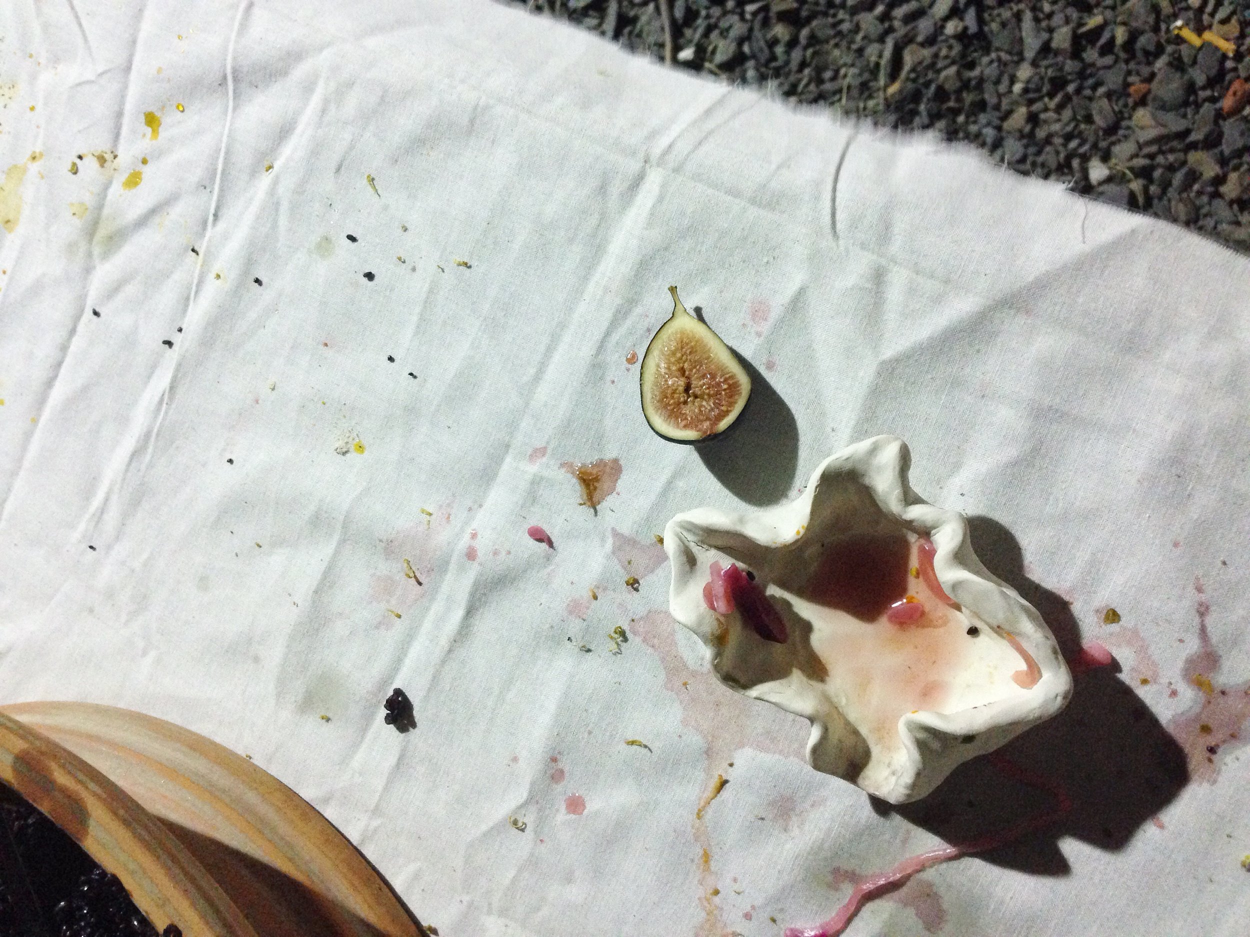 villusdinner3.JPG