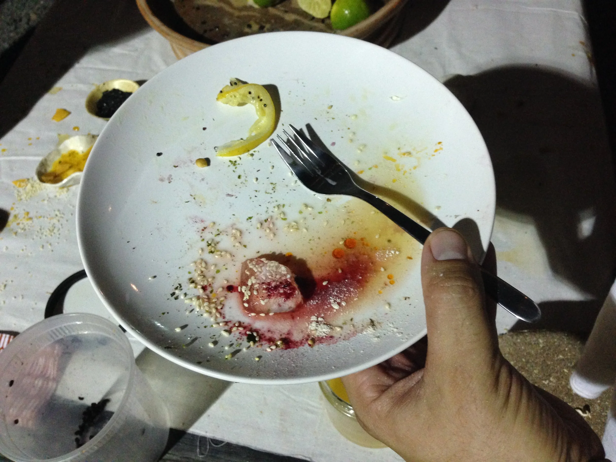 villusdinner4.JPG
