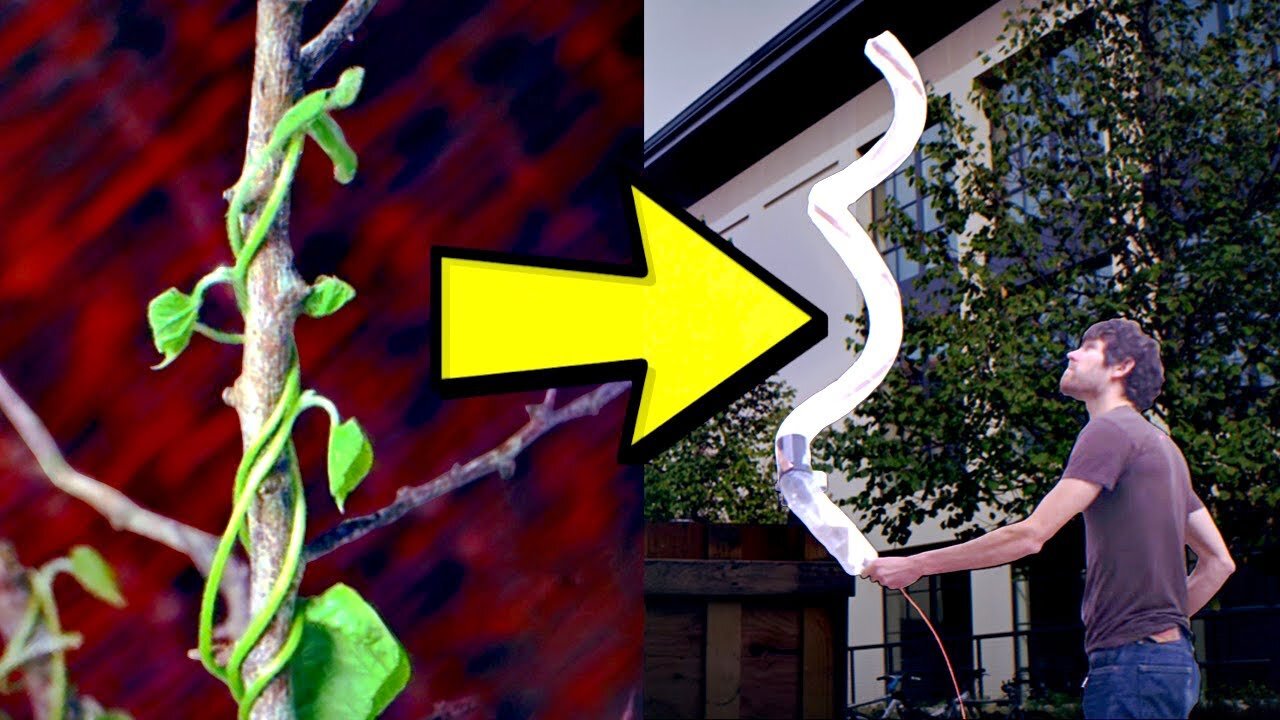 This Plant-Inspired Robot Could Save Your Life  Veritasium