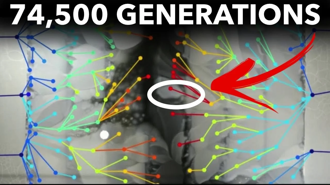The Longest-Running Evolution Experiment — Veritasium