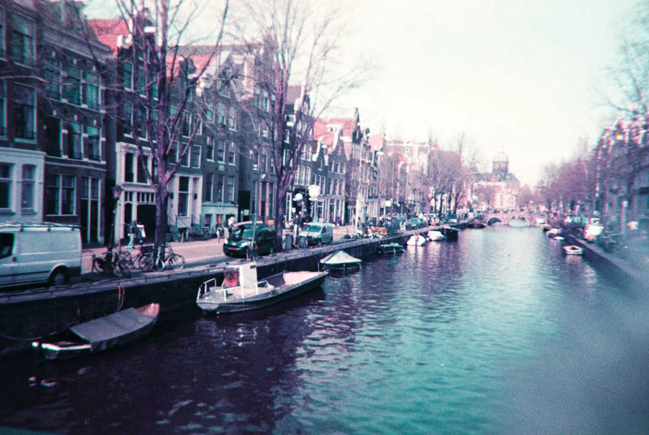 005_lomo-purp.jpg
