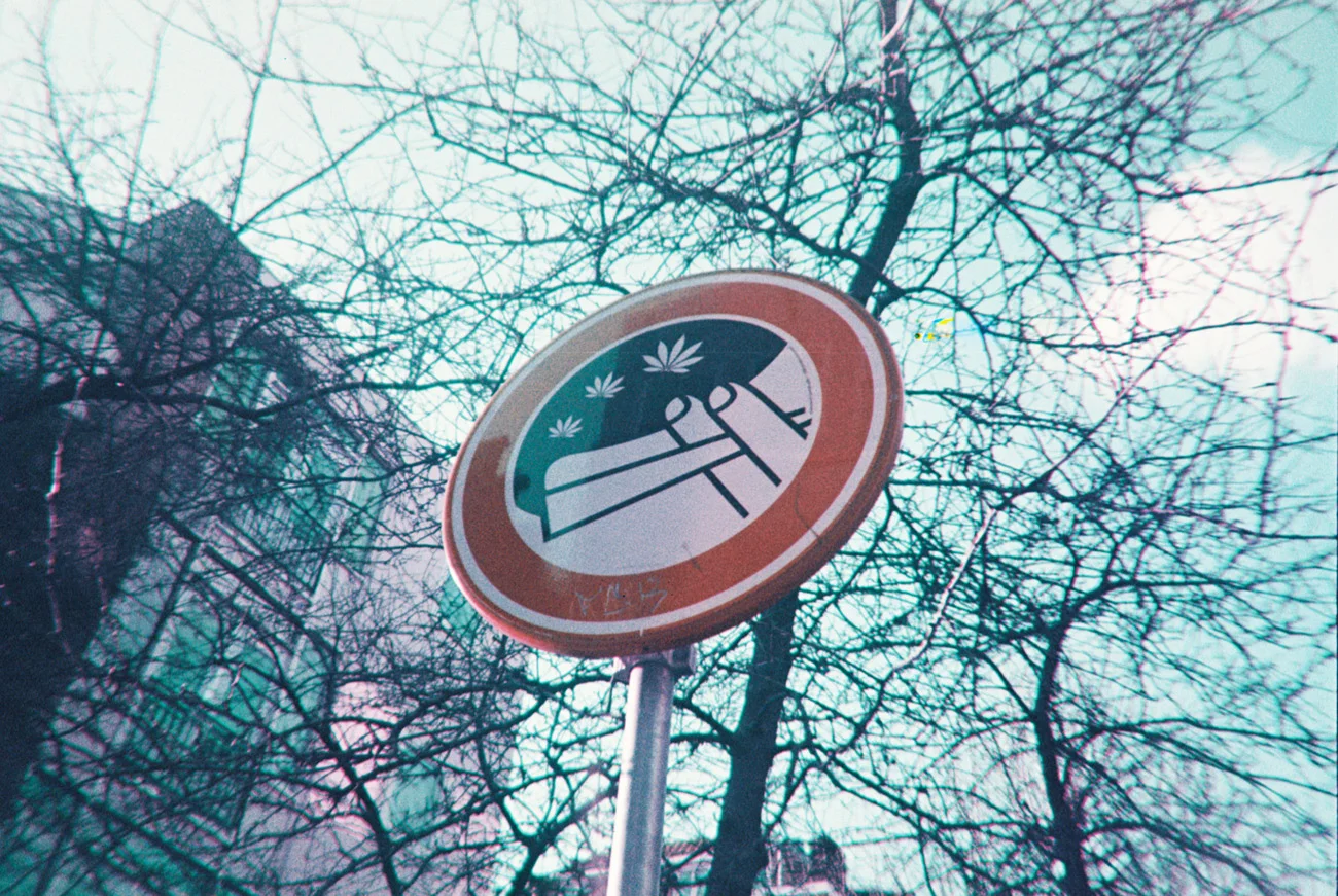018_lomo-purp.jpg