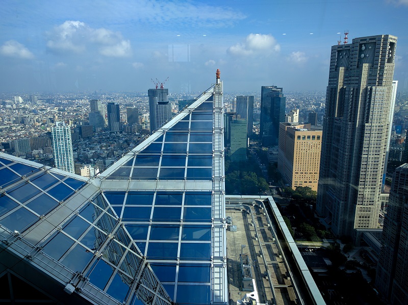The view from the pool of the Park Hyatt Tokyo