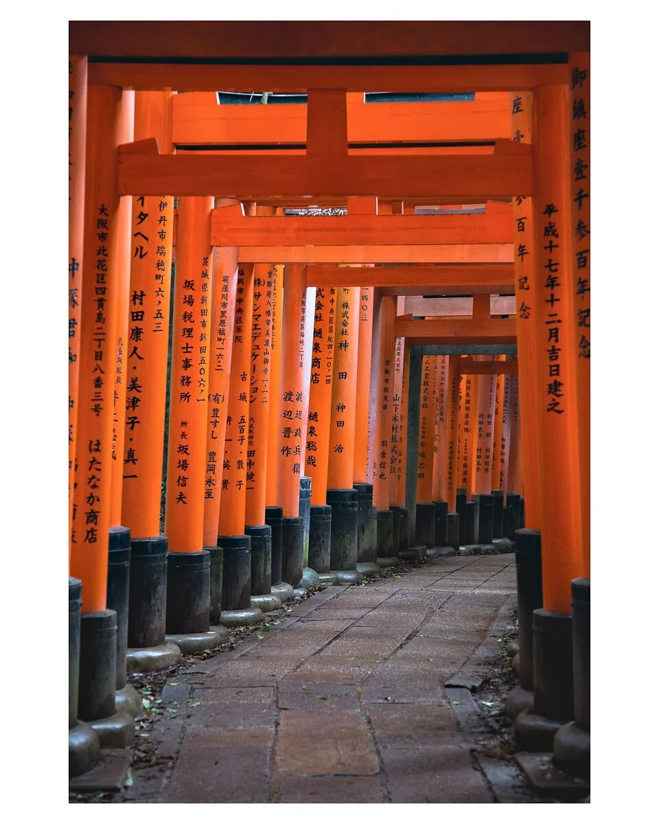 Torii Gates 8x10 - Copy.jpg