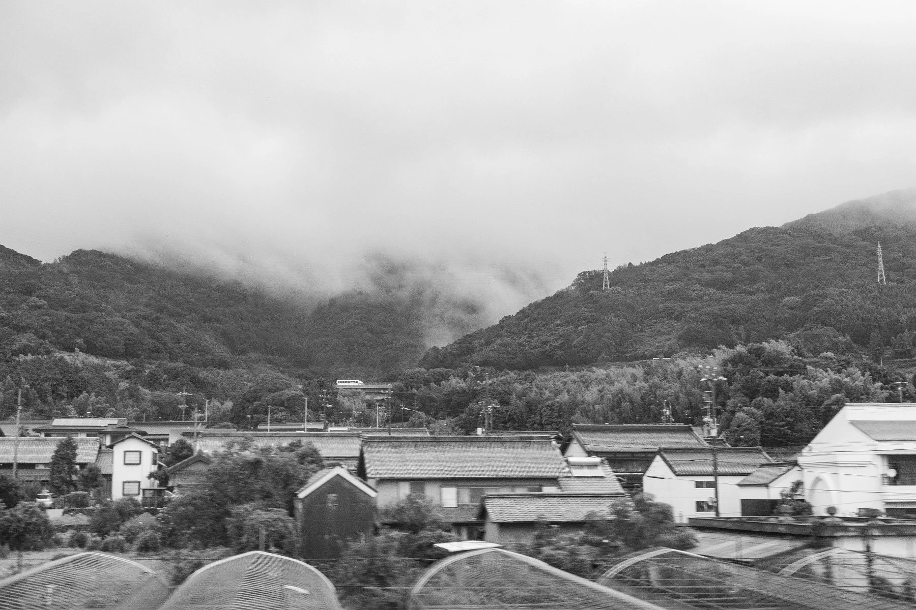 IMG_8688.jpg