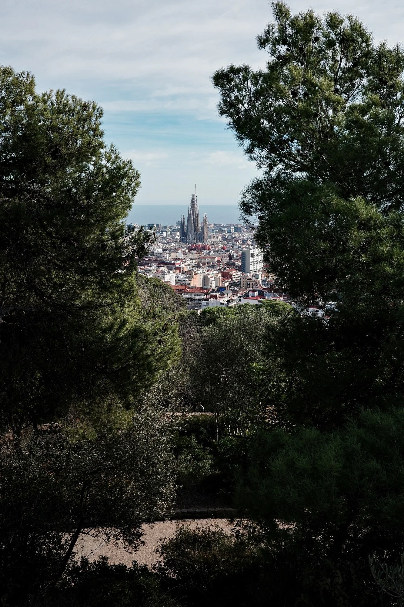 R0001271.jpg