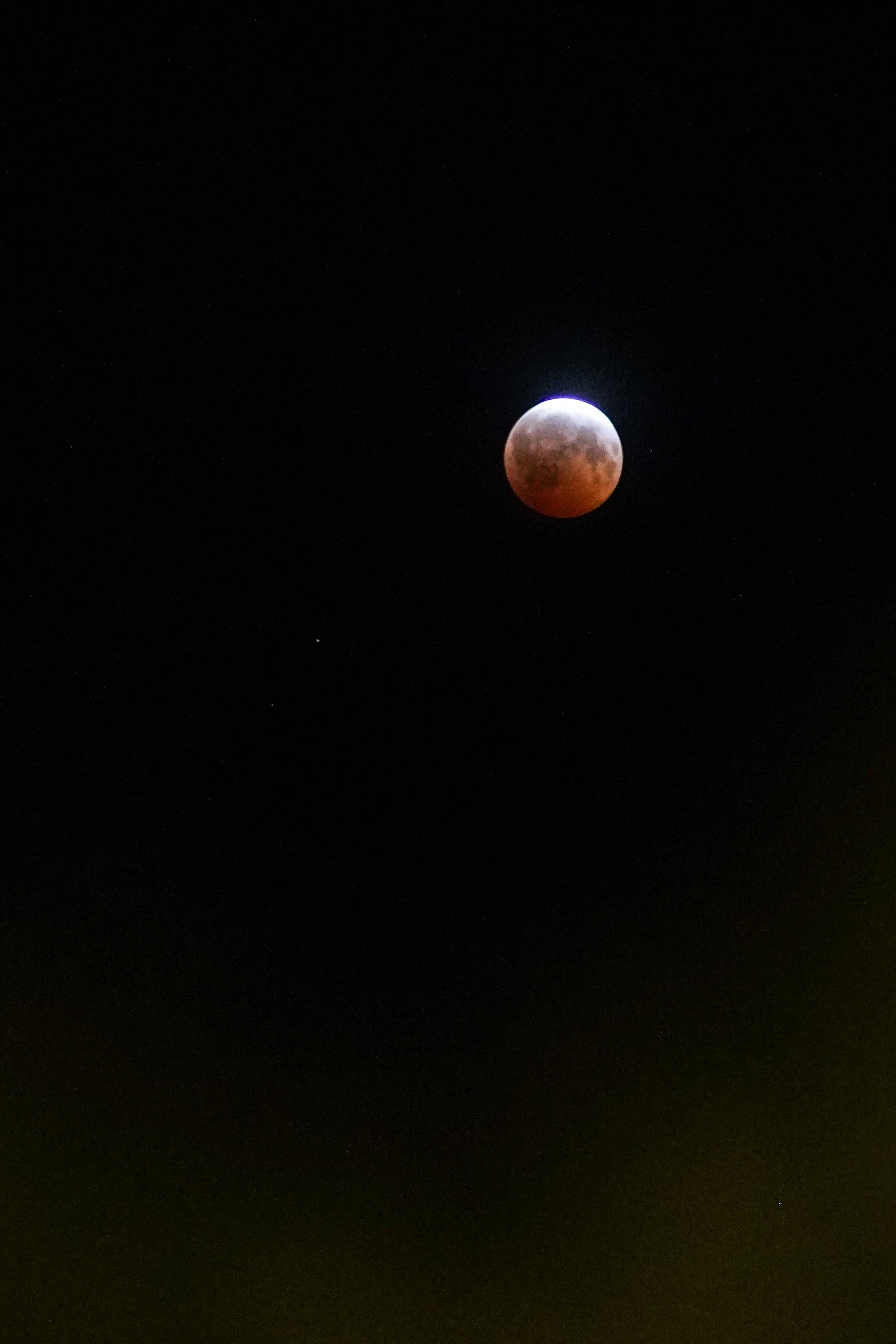 DSC04586.jpg