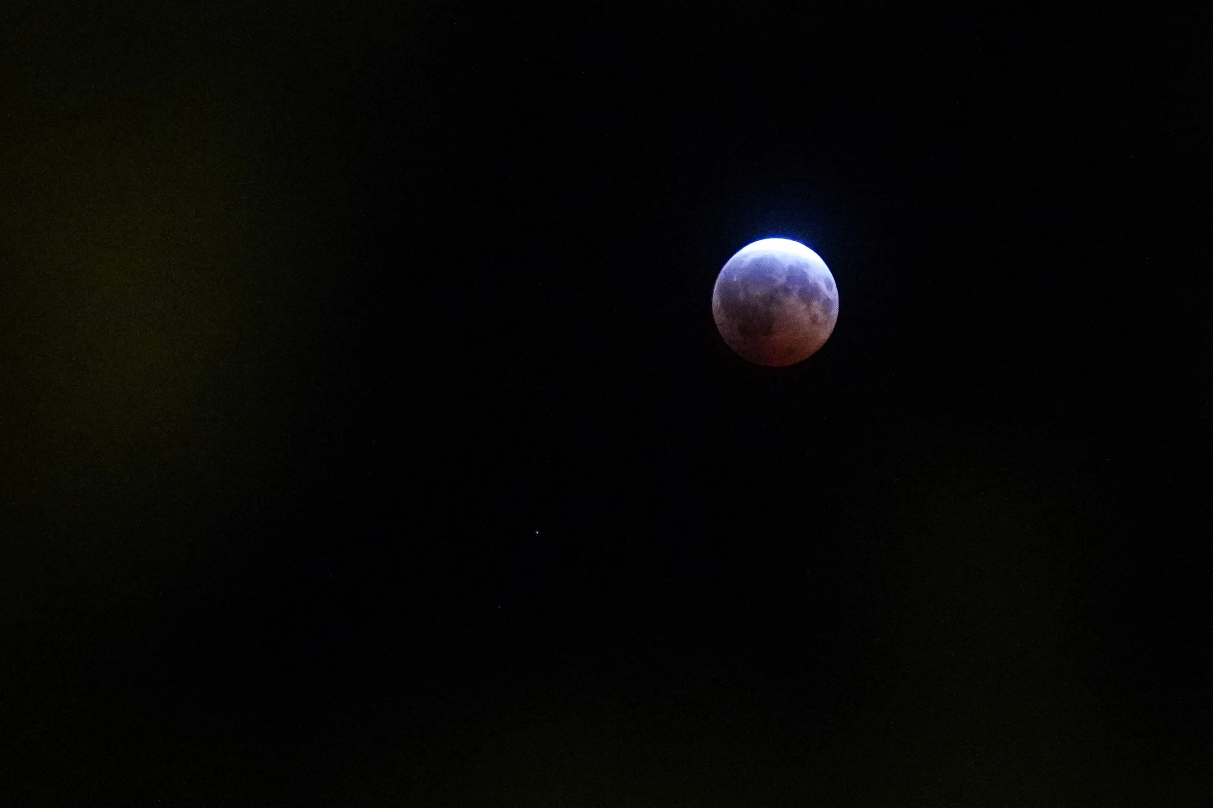 DSC04548.jpg