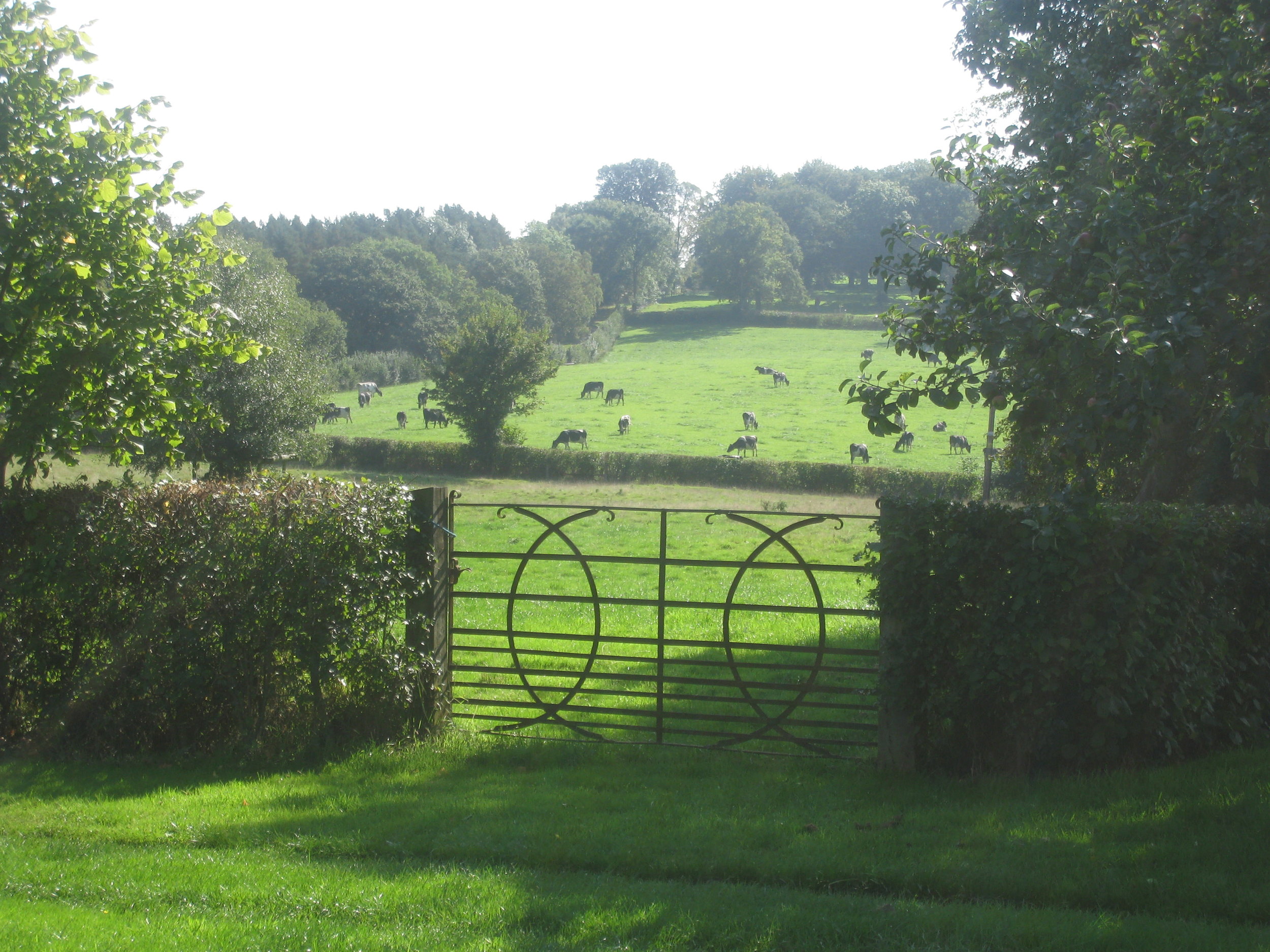 View through gate.JPG