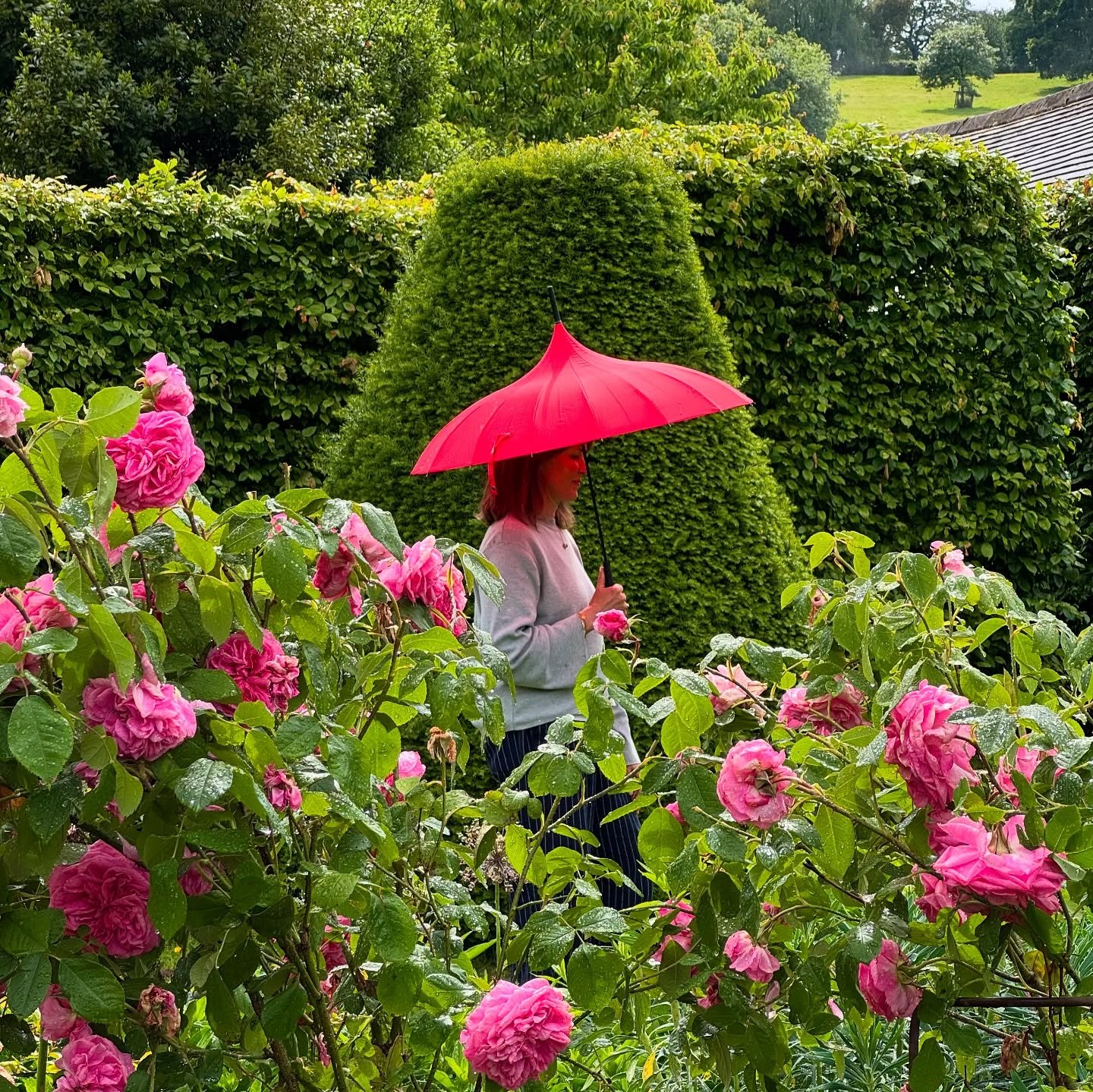 Bring your brollie! The forecast isn&rsquo;t perfect for this weekend, but lift your spirits with a visit to our garden, open in aid of @nationalgardenscheme where our roses are relishing this refreshing rain. Inside, we also have a fabulous exhibiti