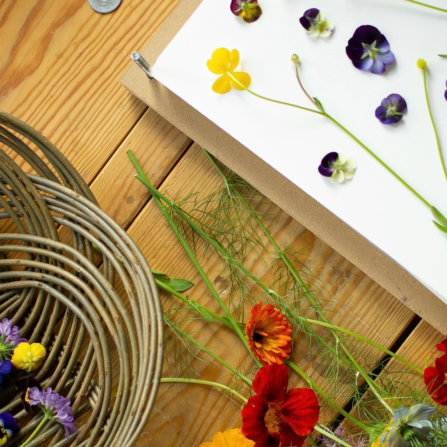 Last call for our flower pressing course with wonderful Sarah of @meadowandthyme next Wednesday, 18th June. Join us for a day of creative inspiration, as Sarah shares her skill of this beautiful traditional craft. You will gather flowers from the gar