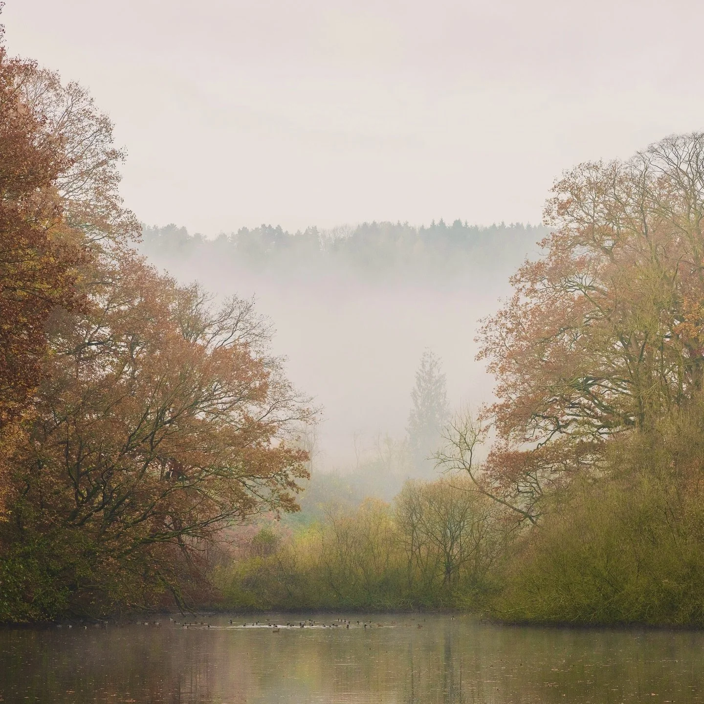 Goodbye Autumn, you&rsquo;ve been lovely. But now we&rsquo;re looking forward now to bare branch silhouettes, frosty mornings, crackling fires and maybe even the odd flurry of snow.  Let winter begin! 
.
🔗 Explore our winter stay availability at The