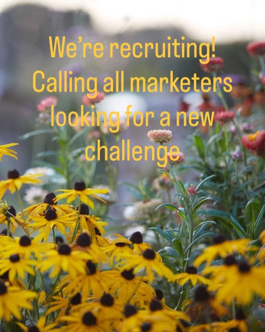 ✨A rare marketing role in a standout rural business ✨

We&rsquo;re are looking for a strategic marketing manager to help shape the next chapter of our high profile diversified rural business.

This is a part time (but could potentially be full time f