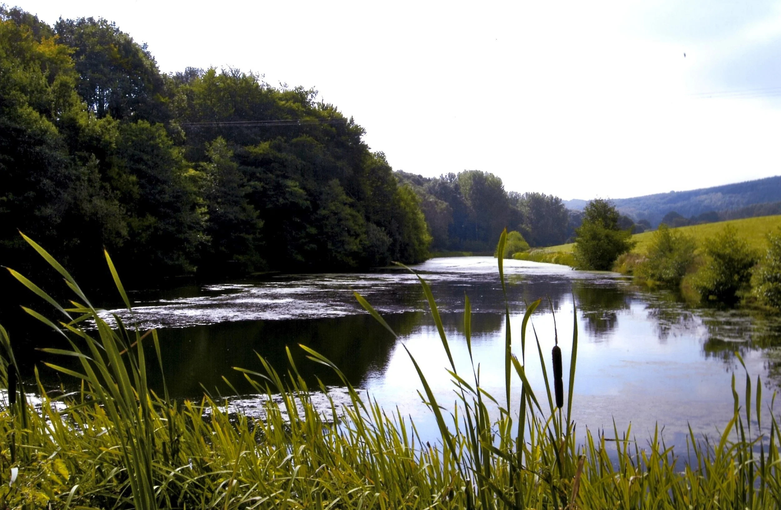 lake at Netherwood estate