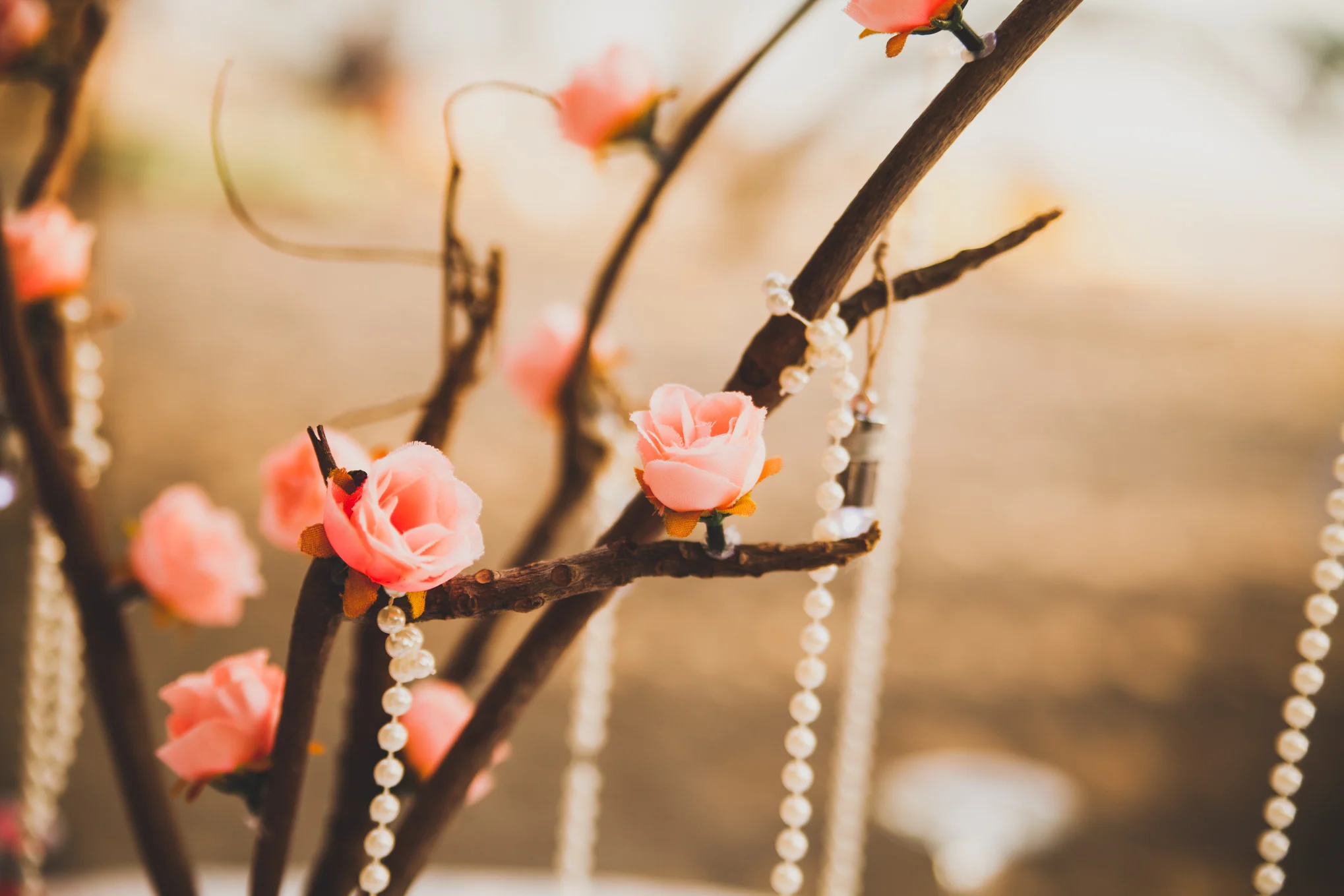 S&P-Boda-21.jpg