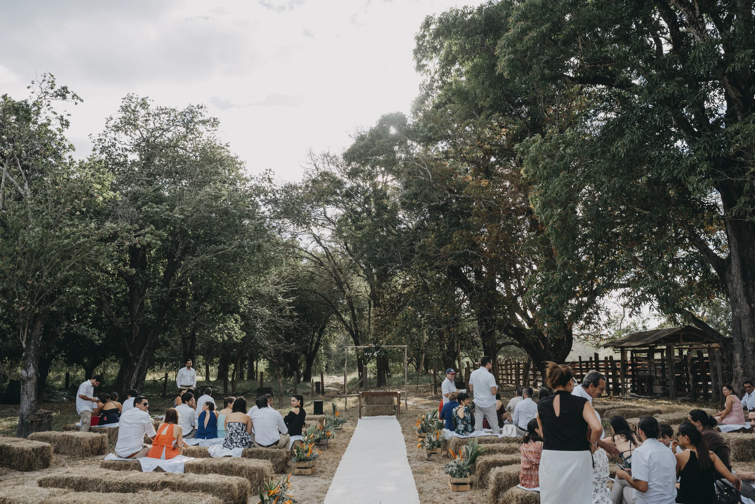 BODA-413.jpg