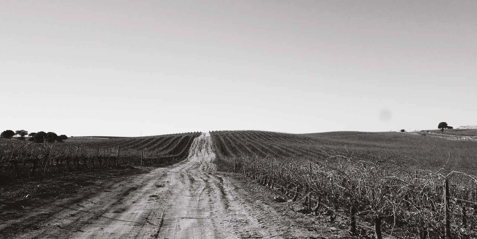 brochure pres villarta-10LD_Pagina_09.jpg