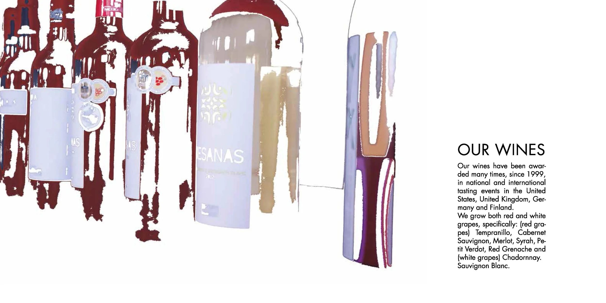 brochure pres villarta-10LD_Pagina_13.jpg