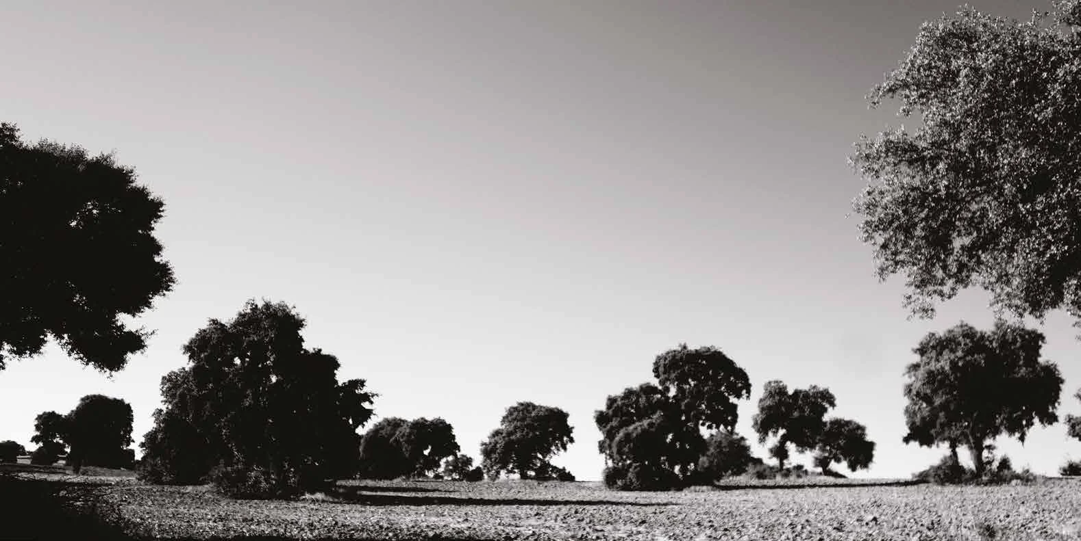 brochure pres villarta-10LD_Pagina_21.jpg