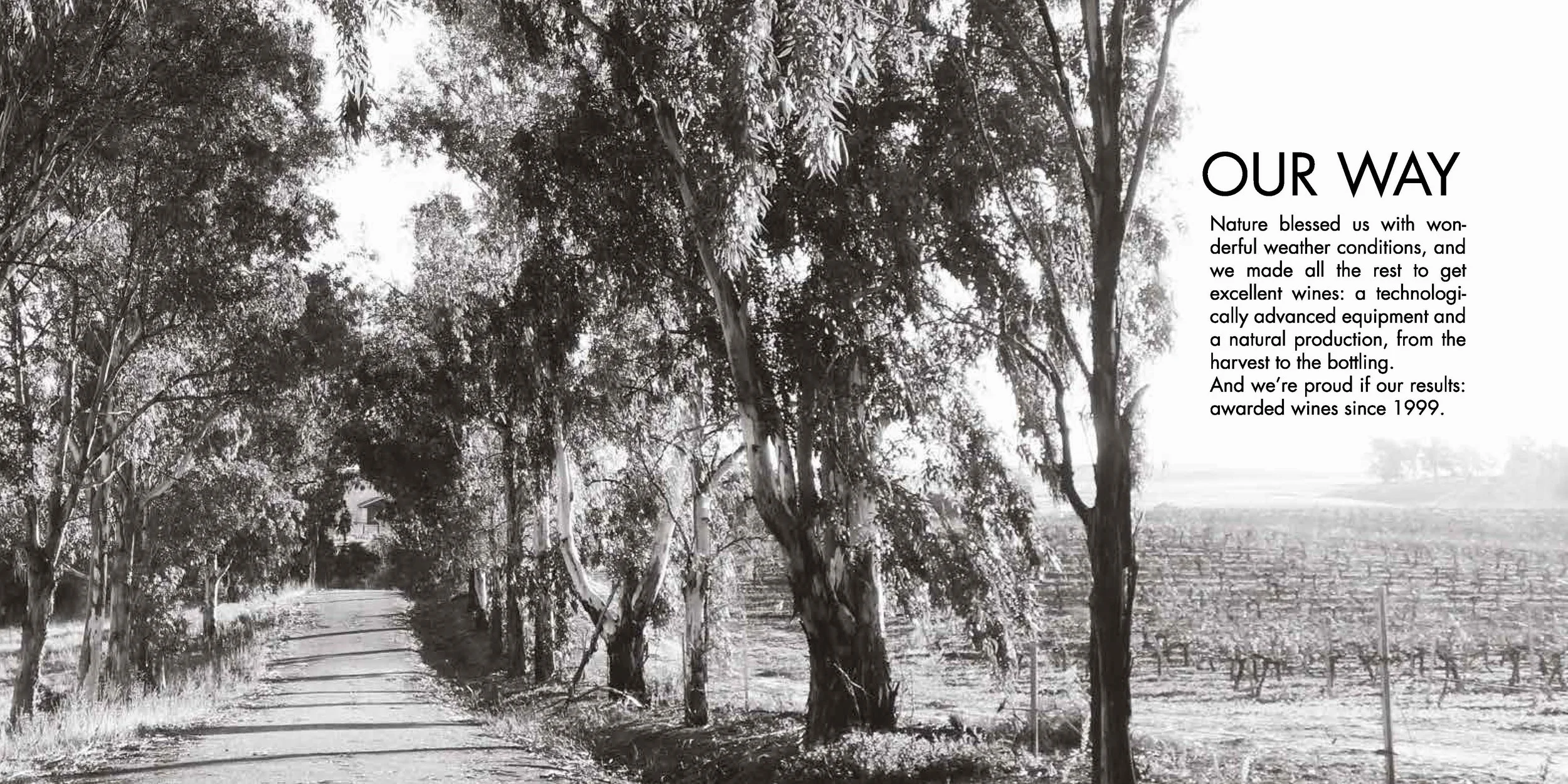 brochure pres villarta-10LD_Pagina_03.jpg